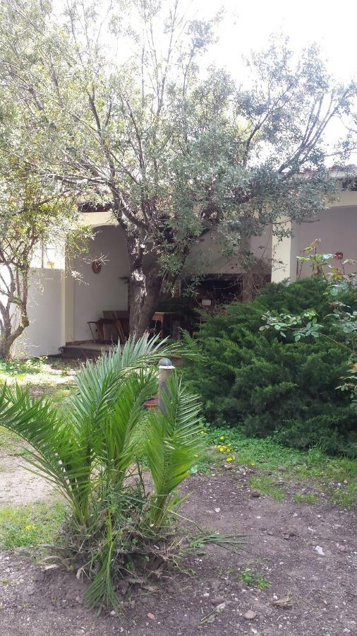 La Terrazza Sul Parco Apartment Oristano Exterior photo